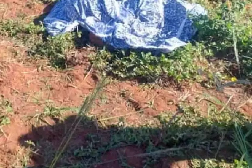 Jovem é morto a facadas e corpo é achado em área de pasto