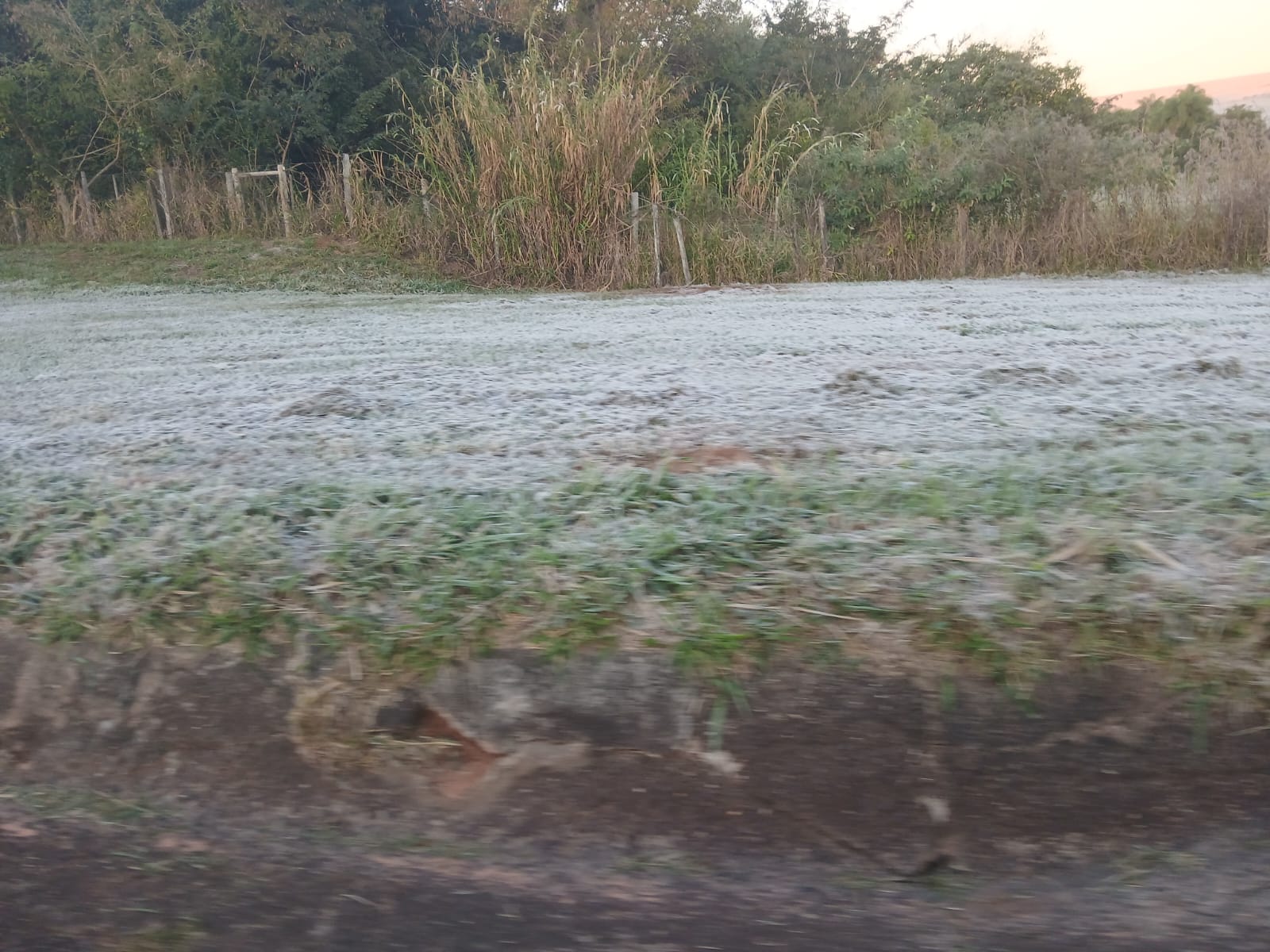 BIrigui registrou a madrugada mais gelada do ano