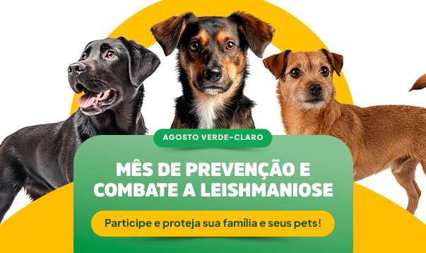 Birigui intensifica ações de combate a leishmaniose durante o Agosto Verde-Claro