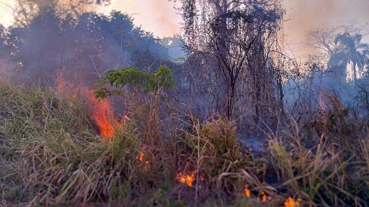 Incêndio em canavial e milharal interdita rodovia na região