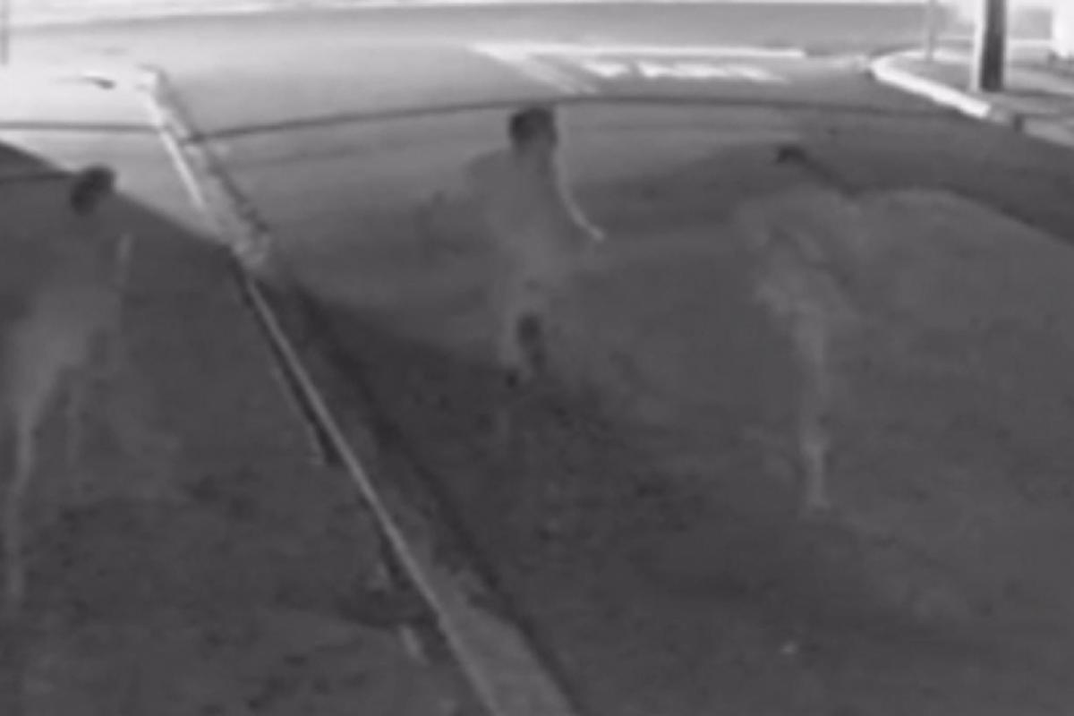Vídeo mostra jovem atropelado em Birigui; polícia acusa suspeitos