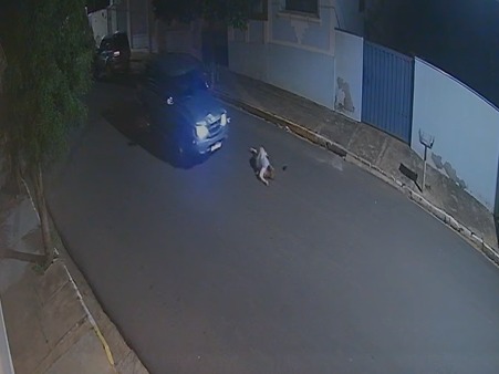 Motorista bêbado atropela trio em Braúna e mata mulher de 58 anos