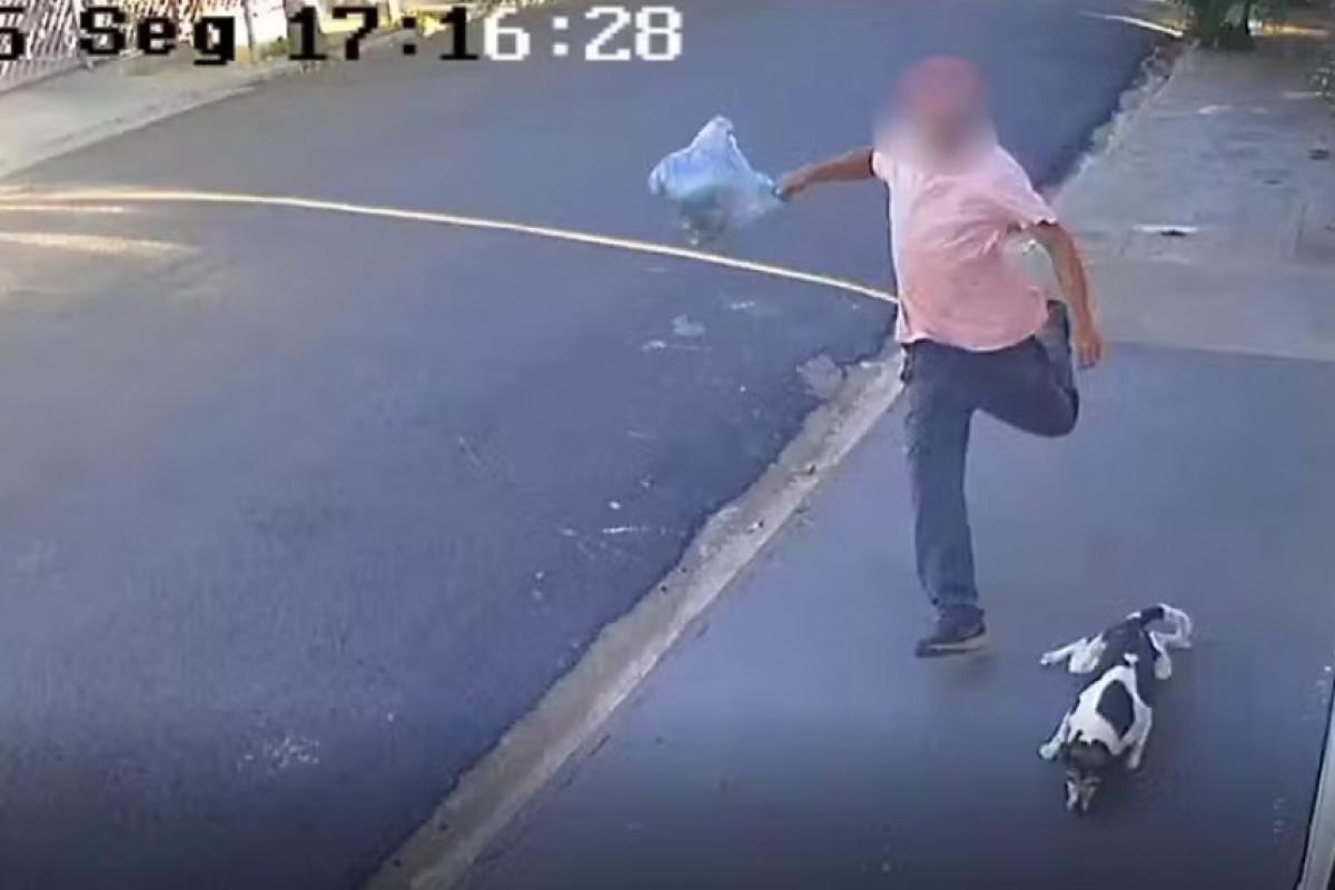 Homem é filmado agredindo com chutes cachorra em via pública
