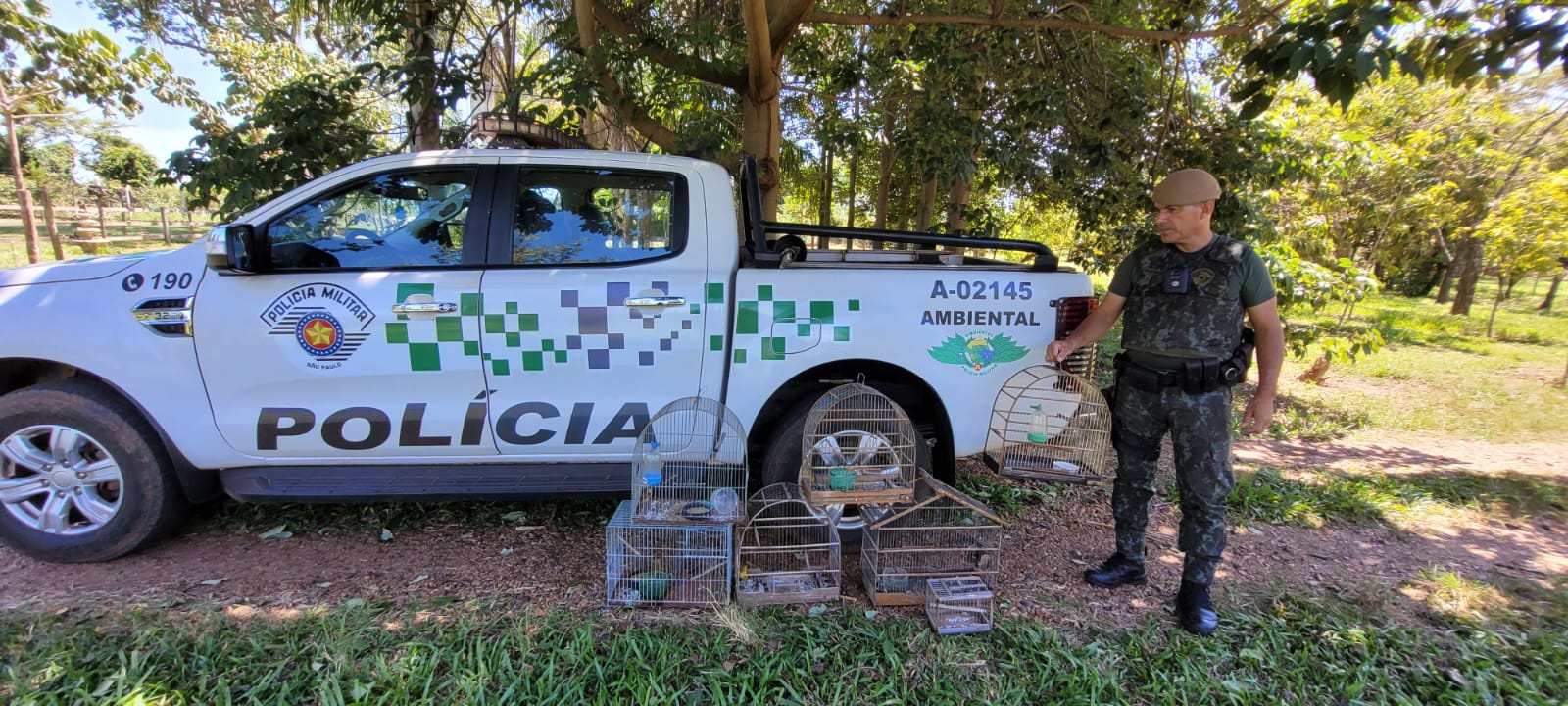 Polícia flagra cativeiro ilegal de aves em Araçatuba