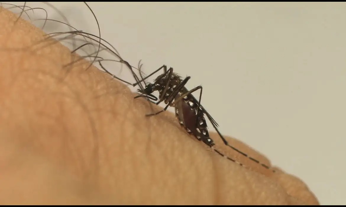 Araçatuba confirma duas mortes por chikungunya e alerta população