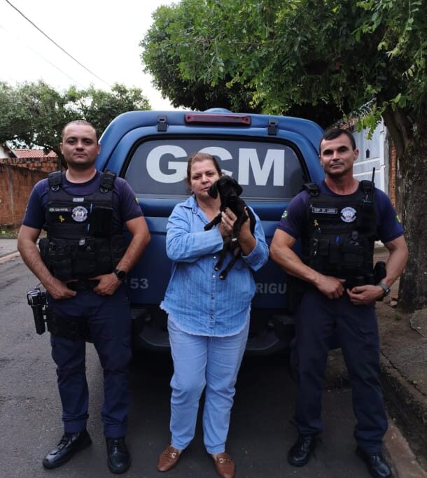 GCM resgata cachorro após denúncia de maus-tratos em Birigui